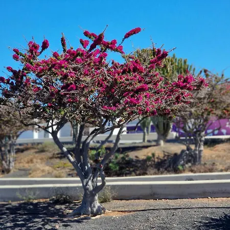 Bella Vista 414-ocean Lanzamar- Puerto Del Carmen Apartment
