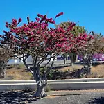 Bella Vista 414-ocean Lanzamar- Puerto Del Carmen Apartamento