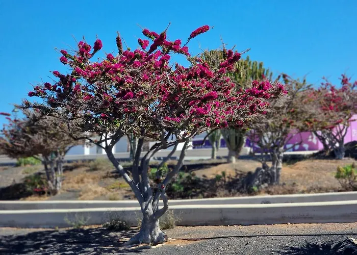 Bella Vista 414-ocean Lanzamar- Puerto Del Carmen Appartement